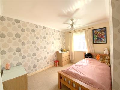 Picture 15